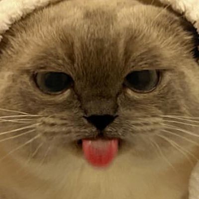 YawwlY Icon